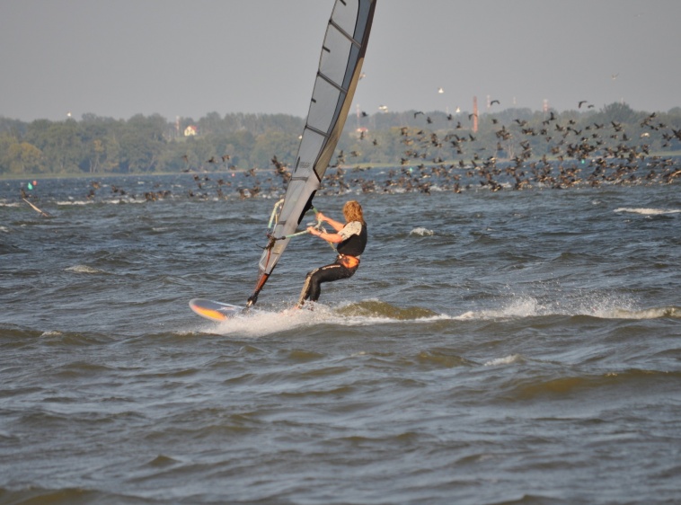 Windsufing - Wioska Surfów [-10% z kartą] 