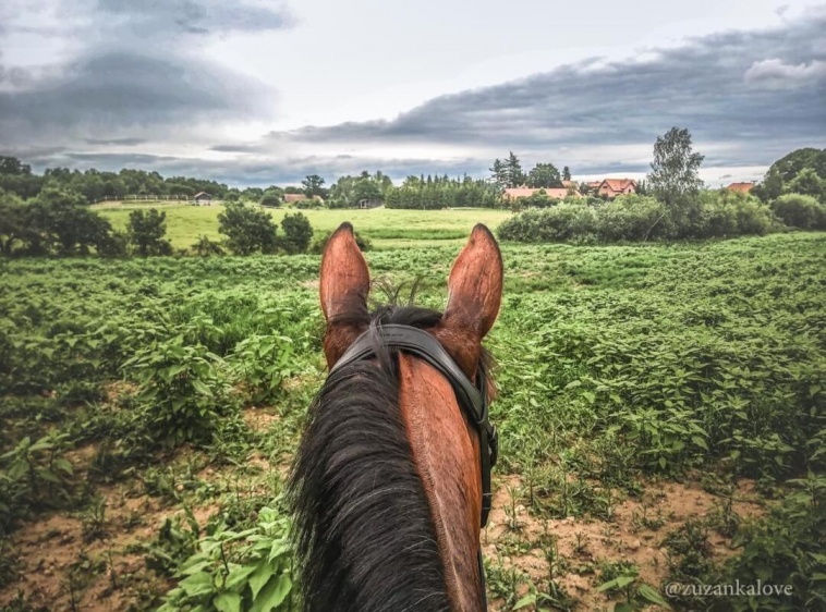 Stajnia Lipowo 45 Agroturystyka [-10% z Kartą] 